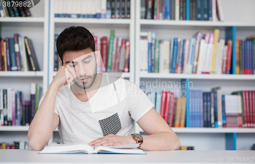 Image of student study  in school library