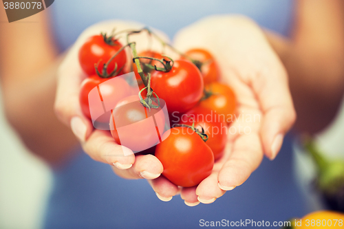 Image of close up of woman holding cherry tomatoes in hands