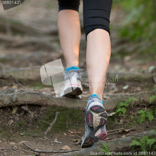 Image of Pretty young girl jogging in nature. 