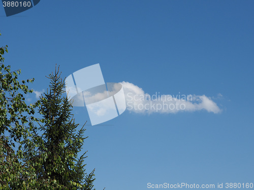 Image of Tree and blue sky with clouds background