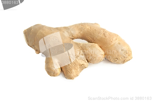 Image of Ginger root on white