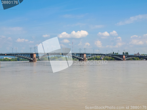 Image of Rhine river in Mainz