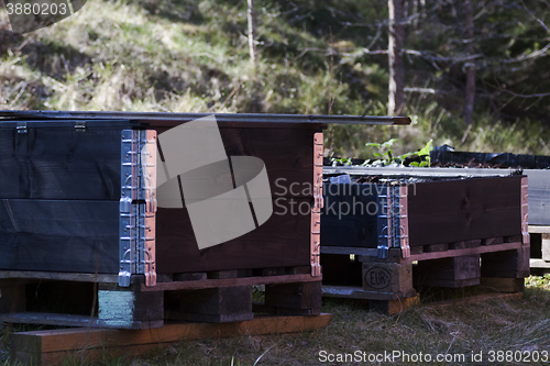 Image of raised beds