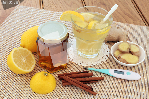 Image of Cold and Flu Alternative Medicine