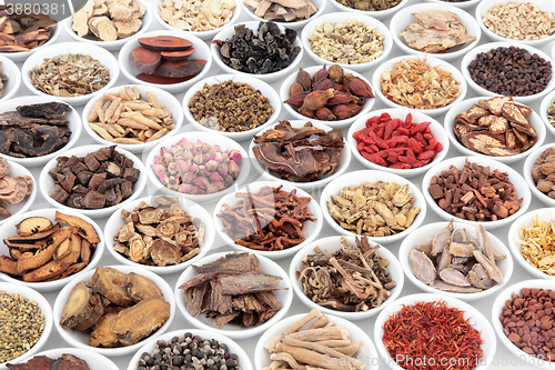 Image of Chinese Healing Herbs