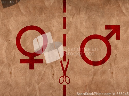 Image of cardboard