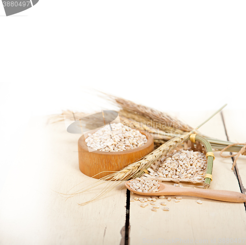 Image of organic barley grains