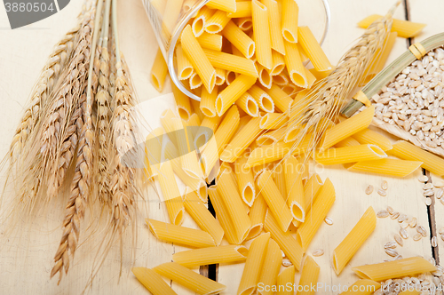 Image of Italian pasta penne with wheat