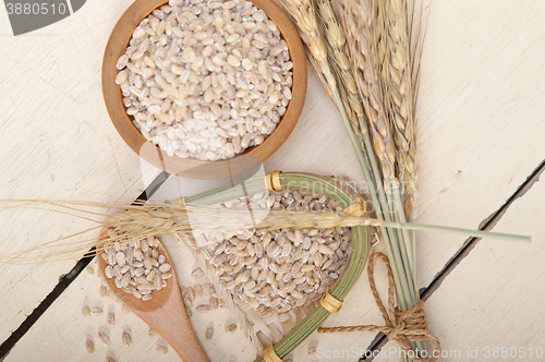 Image of organic barley grains