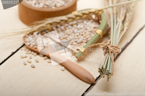 Image of organic barley grains