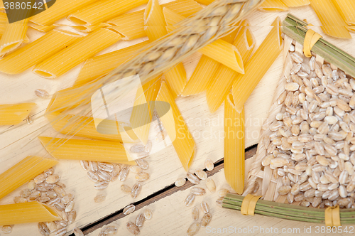 Image of Italian pasta penne with wheat