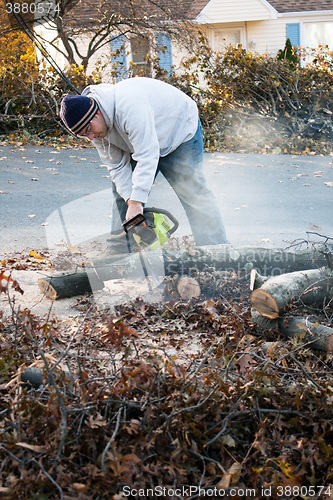 Image of Man Cuts Tree Limbs with a Chainsaw