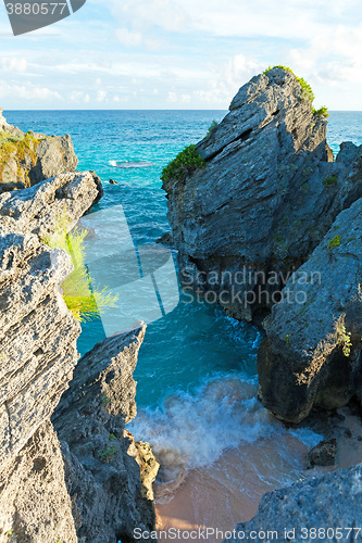 Image of Bermuda Jobsons Cove