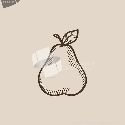 Image of Pear sketch icon.