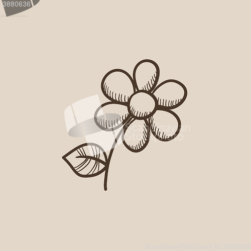 Image of Flower sketch icon.