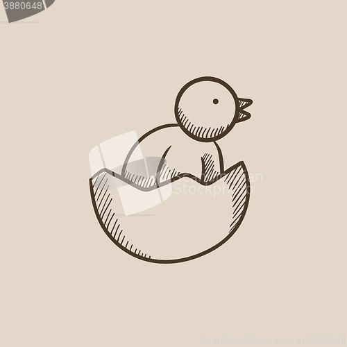 Image of Chick peeking out of egg shell sketch icon.