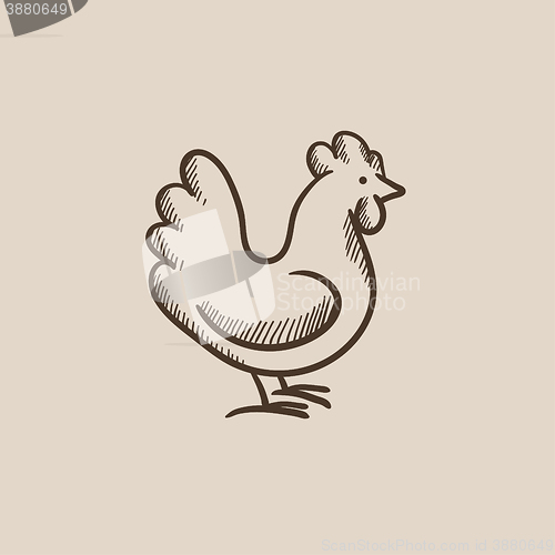 Image of Hen sketch icon.