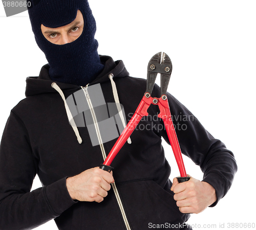 Image of Robber with red bolt cutters