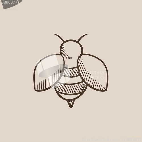 Image of Bee sketch icon.