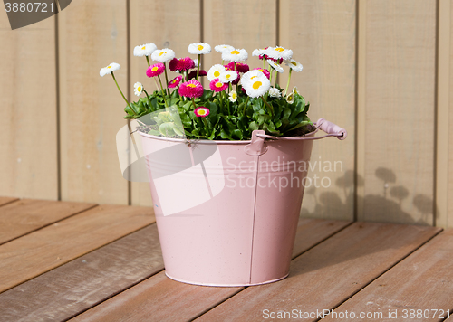 Image of Bouquet of daisy flowers in a bucket