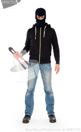 Image of Robber with red bolt cutters