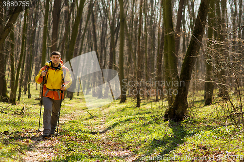 Image of Male hiker looking to the side walking in forest