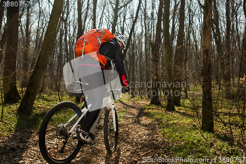 Image of Cyclist Riding the Bike