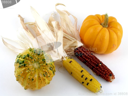 Image of Harvest medley