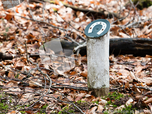 Image of Horsetrack in a dutch forrest