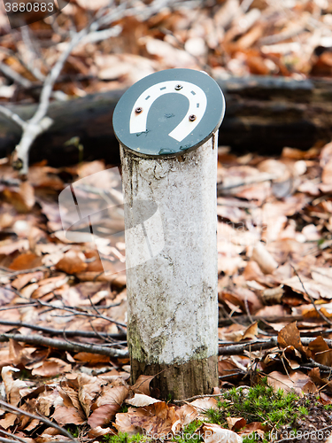 Image of Horsetrack in a dutch forrest