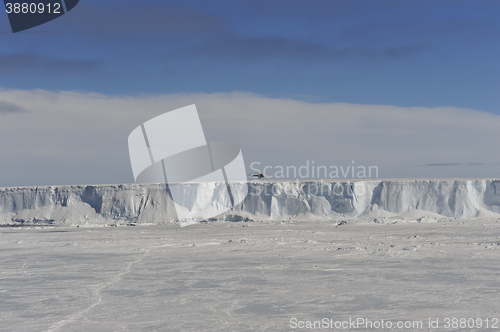 Image of Antarctica nice view