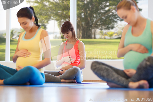 Image of happy pregnant women exercising yoga in gym