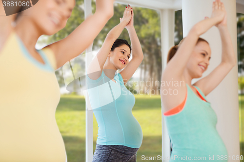 Image of happy pregnant women exercising in gym