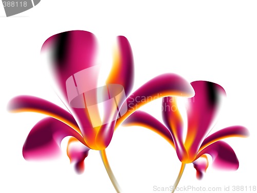 Image of Colorful flower background