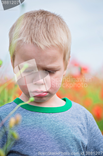 Image of Unhappy boy in field with red poppies