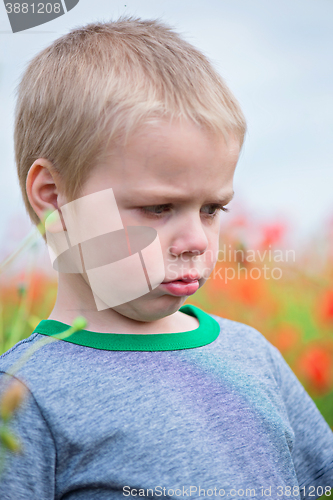 Image of Upset boy in field with red poppies