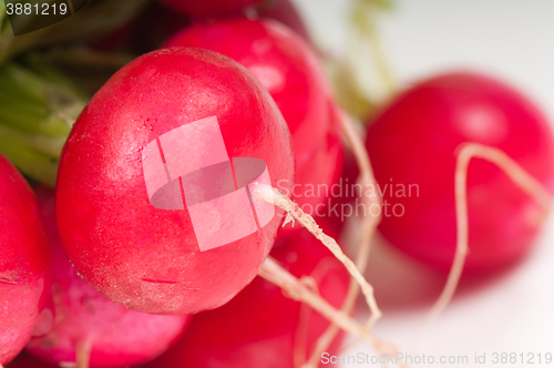 Image of Close up of red radishes