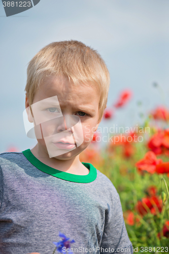 Image of Serious boy in field with red poppies