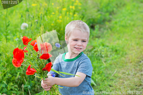 Image of Cute boy with bunch of red poppies