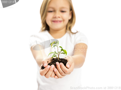 Image of Cute girl showing a plant