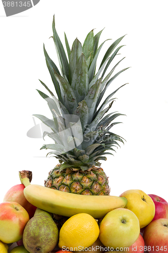Image of Pineapple and other fruit