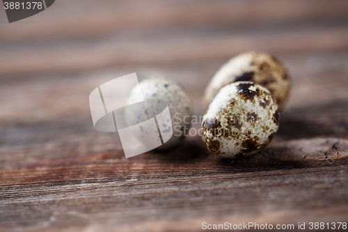 Image of Group of quail eggs on thewooden background