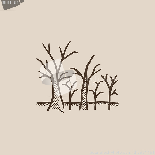 Image of Tree with bare branches sketch icon.