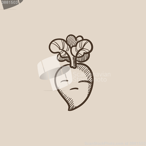 Image of Beet sketch icon.