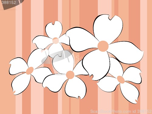Image of White flowers background