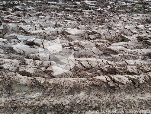 Image of Ploughland 