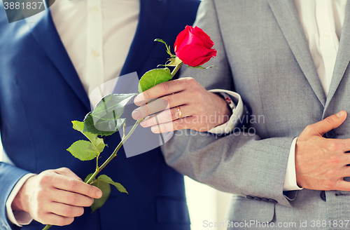 Image of close up of happy male gay couple holding hands