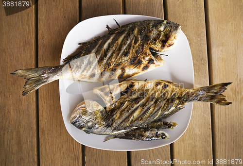 Image of Grill fish