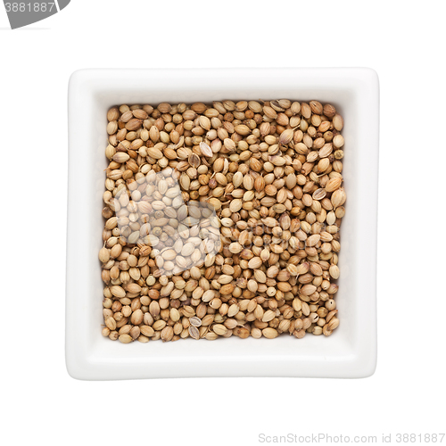 Image of Coriander seeds