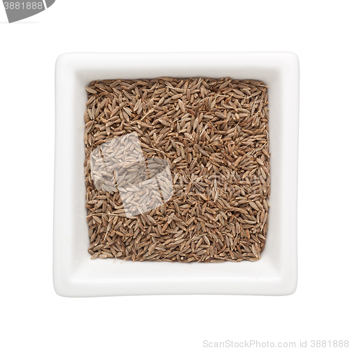 Image of Cumin seeds